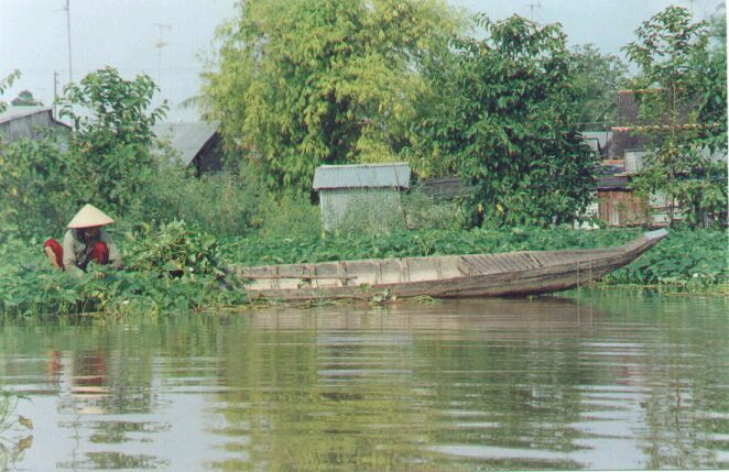 Inwoner van de Mekong delta - Vietnam